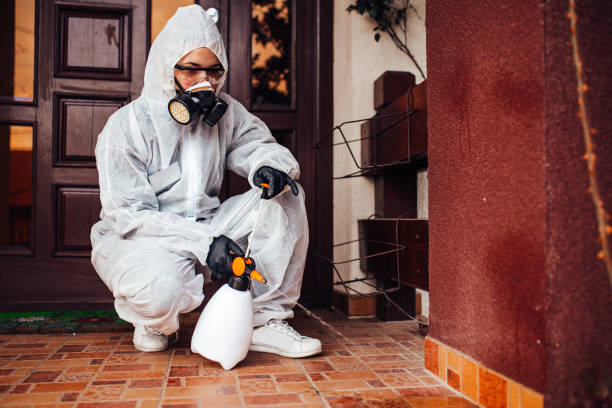 Reliable Termite Control contractor in Apopka, FL by Nex Pest Control