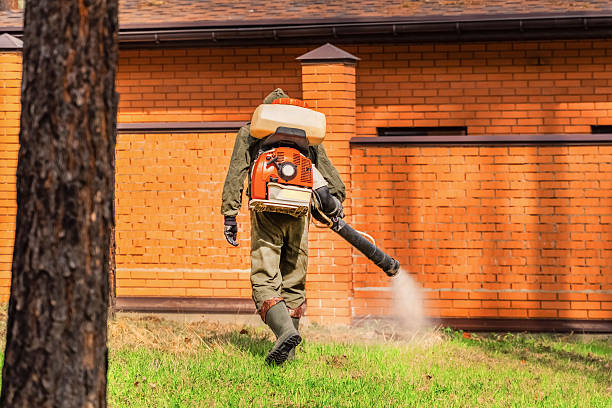 Top rated local Termite Control specialists in Apopka, FL